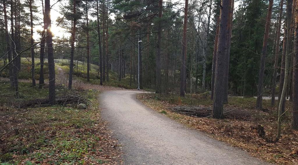 Kuva 37. Koskelan metsän ulkoilureittien turvallisuutta ja lähimaisemaa ylläpidetään. 7.