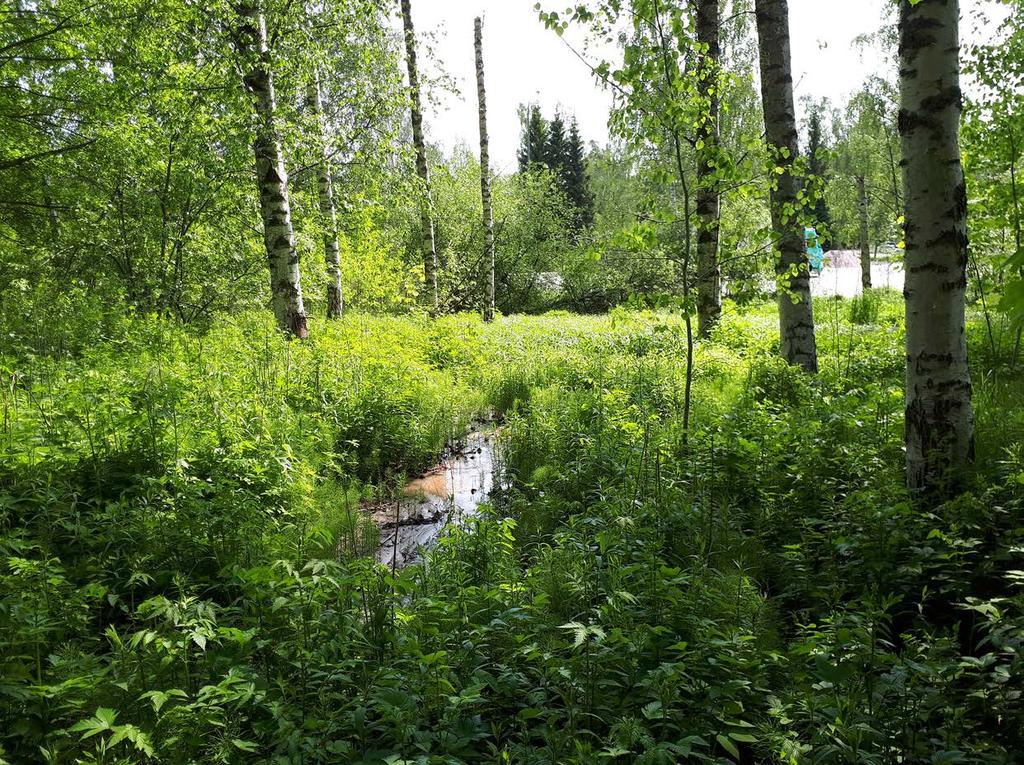 Kuva 43. Pirkkolan uuden koira-aitauksen sijainti. Tavoitteet ja toimenpiteet Asemakaavan osoittamalle alueelle rakennetaan eril - liset aitaukset pienille ja suurille koirille.