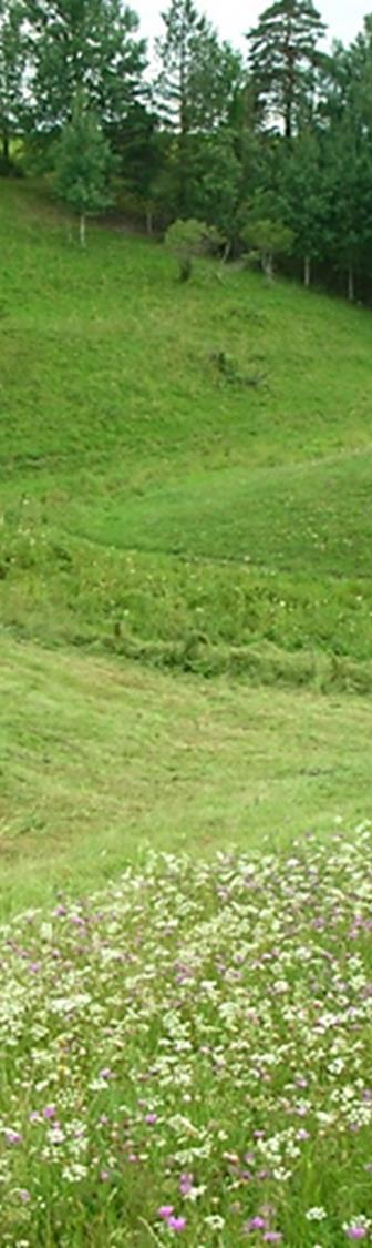 Inventoinnin keskeisimmät tavoitteet Selvittää perinnemaisemien nykytila Kerätään tietoa luontotyyppien alasta, myös Naturaluontotyypeistä Natura-alueiden ulkopuoleltakin.