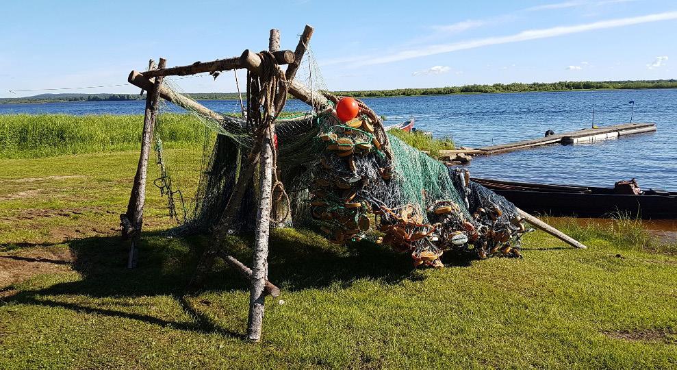 Verkkopukilta kulle siirtyy kätevästi veneeseen, ja pukille se nostetaan myös kuivumaan (Pia Suonvieri.) Seppo Niemi, Ylitornio: Ne olit ne pumpulilangat semmoset että pari vuotta oli, ne lahosit.