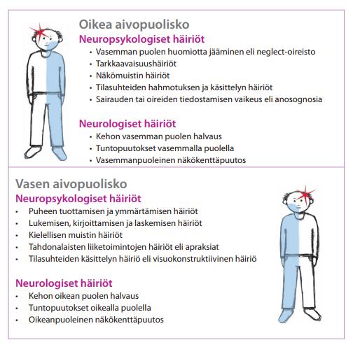 16 Tavallisimmat oikean ja vasemman aivopuoliskon vaurioon liittyvät neurologiset ja neuropsykologiset häiriöt Aivopuoliskot säätelevät kehon vastakkaisen puolen liiketoimintoja ja aisteista tulevaa