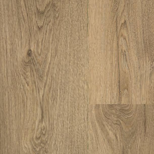 Washed Oak 018