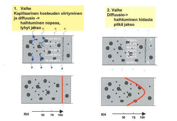 Kuvassa 11 on esitetty betonirakenteen kuivumisen eri vaiheet, joita on kaksi: kapillaarinen kosteuden siirtyminen ja diffuusio sekä pelkkä diffuusio.