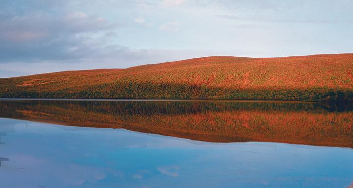 Metsäorganisaatiot Suomessa Mari