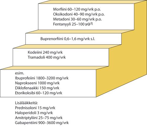 24 5.4 Lääkkeellinen kivunhoito WHO (World health organization) kehitti 1980-luvulla syöpäkivun hoitoon porrasmallin, jonka tarkoitus on mahdollistaa kaikille syöpäkivusta kärsiville riittävä