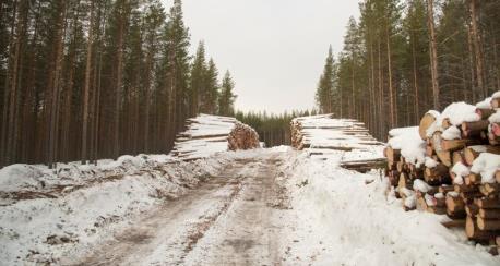 Raja-arvot annetaan rakennetyyppikohtaisesti MARA17 mukaisesti