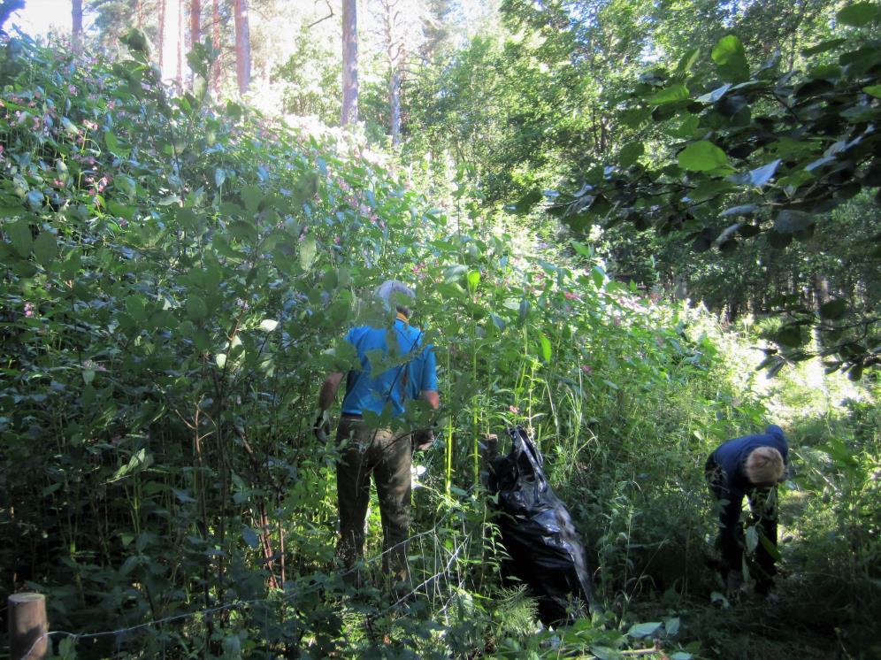 Hoito- ja käyttösuunnitelmaluonnos esiteltiin ja asetettiin nähtäville ja kommentoitavaksi syksyllä 2017. Tilaisuudessa oli puheenvuoro myös Köyliö-seuran ja MTK Köyliön edustajalla.