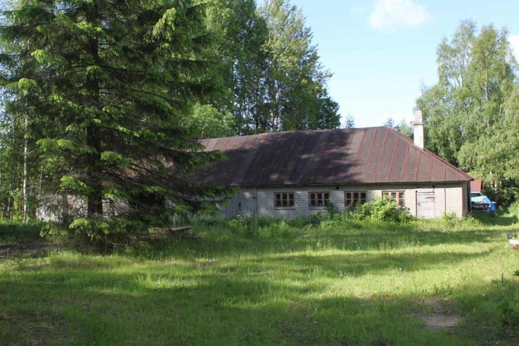 Asumaton
