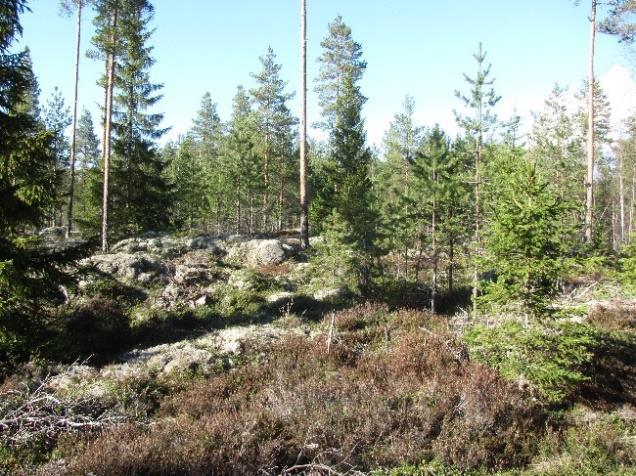 ei ole suunnittelualueella tai sen
