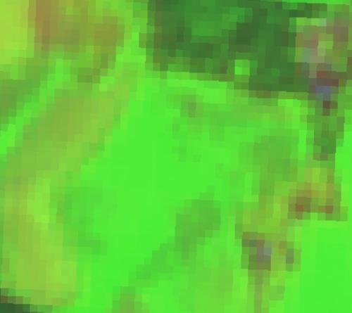 Kauralohko Lannoituskoe Kuva 4. Sentinel 2 -satelliitti tuottaa tarkkaa biomassakartoitusta muutaman päivän välein. Sen avulla voi katsoa, saatiinko lannoituksella selvä ero aikaan.