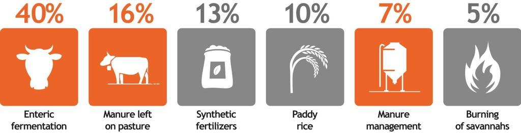 Maatalouden kasvihuonekaasupäästöt Maatalouden päästöt 10-12 % kaikista päästoistä (IPCC, 2014a) Lisäksi