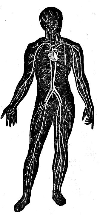 Kuw. 4.