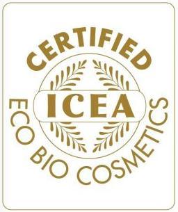 14 Kuva 10. ICEA:n logo. [19.