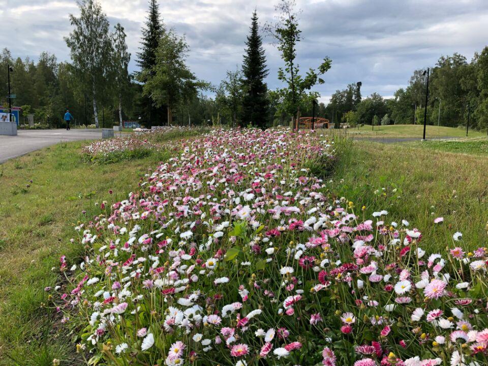 2. A S U K A S - J A P A L V E L U V I E S T I N T Ä monikanavainen ja asukaslähtöinen viestintä * aktiivinen keskustelu some-kanavissa kokkola.