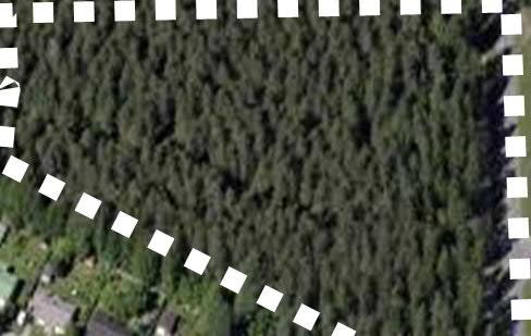 ). 1.1.2 Luonnonympäristö Maisema, maaston muodot ja luonnonympäristö Kaavamuutos koskee metsäistä aluetta kaupungissa.