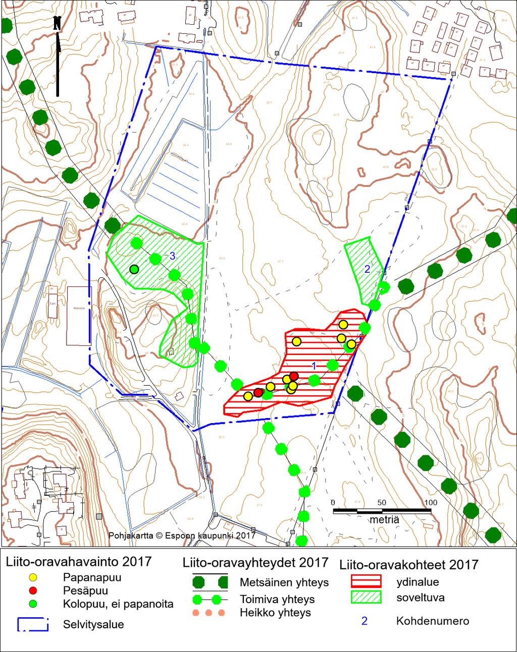15 (23) Liito-orava Merkittävin aluetta asuttava laji on liito-orava. Alueelta on liito-oravahavaintoja vuodelta 2018 (Gobbackantien luontolausunto, Luontotieto Keiron Oy 11.1.2018) ja vuodelta 2019 (Ramboll 2.