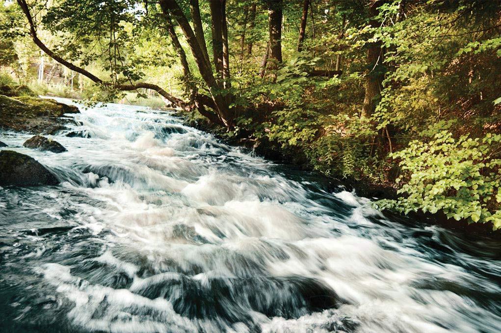 Metsätalouden vesistökuormitus -