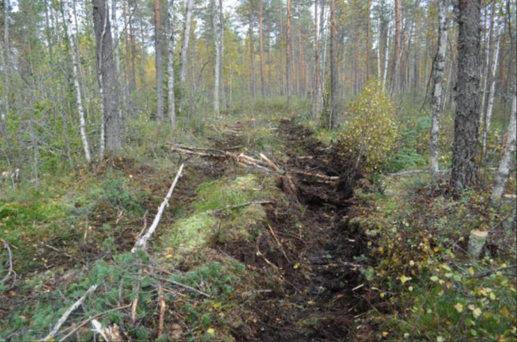 Korjuukelpoisuusluokitus Puuston määrä Juuriston määrä