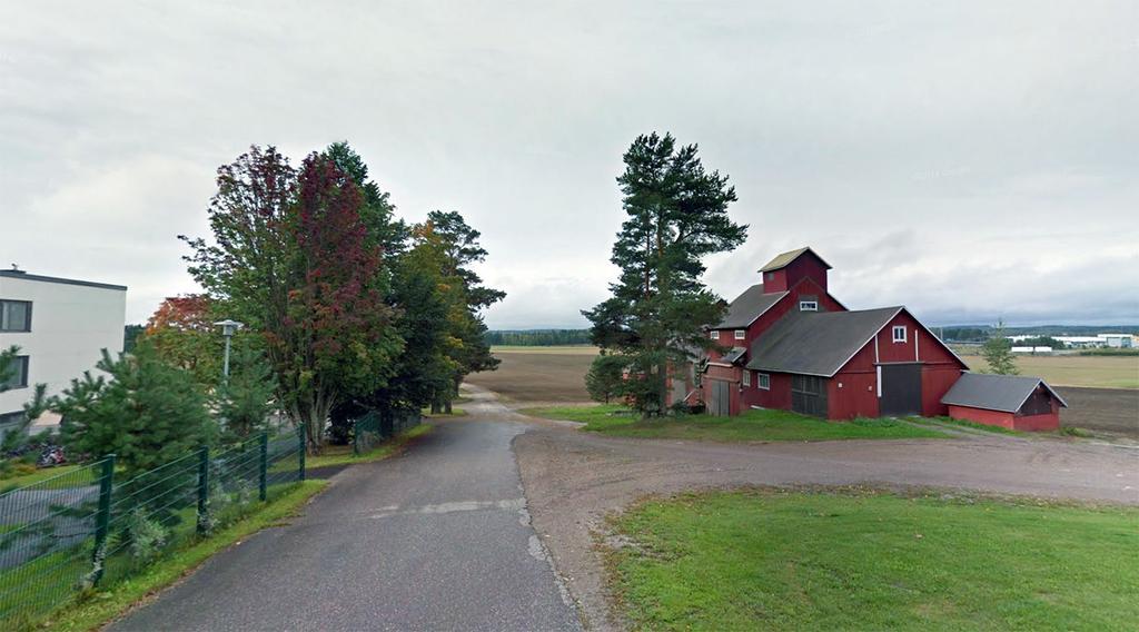 Koulun pihalla kasvaa näyttäviä, vanhoja puita.