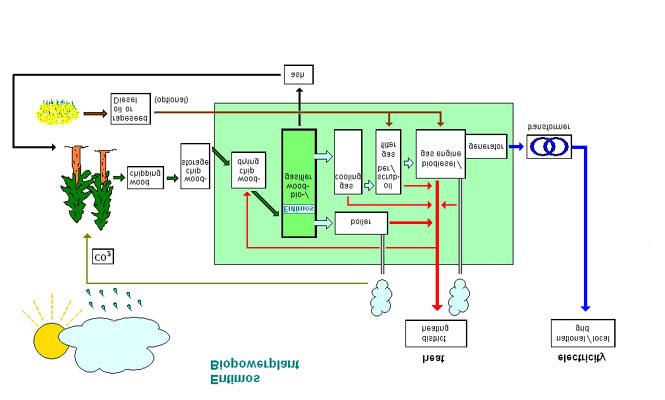 more bioenergy -