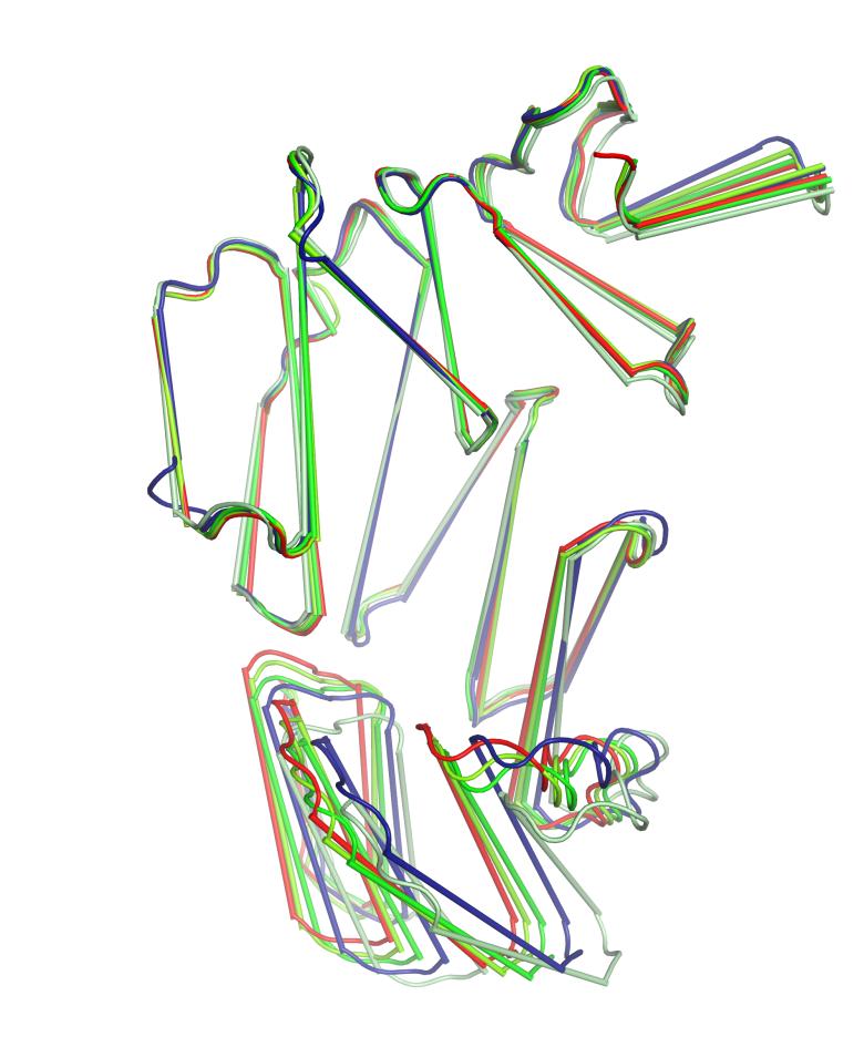 A) The superimposition of the (left) N-terminal (residues 1-263) and (right) Cterminal (residues 294-386) regions of the eight monomers from the AimR structure in the apo state shows an almost rigid