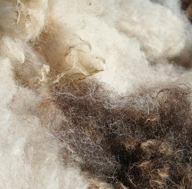 AISTIEN HUOMIOIMINEN KUNTOUTUSYMPÄRISTÖN SUUNNITTELUSSA va: Resh ot Luonto herättää voimakkaita tunteita eri aistien kautta.