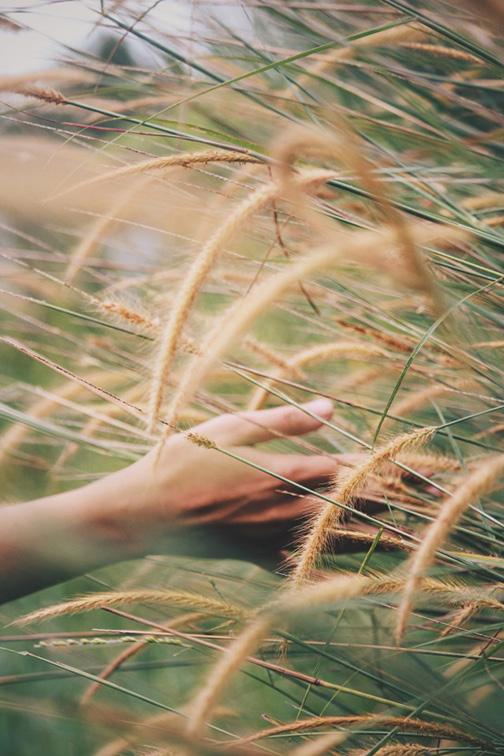 Unsplash A Martin rusalu, U
