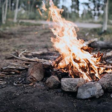 metsistä.