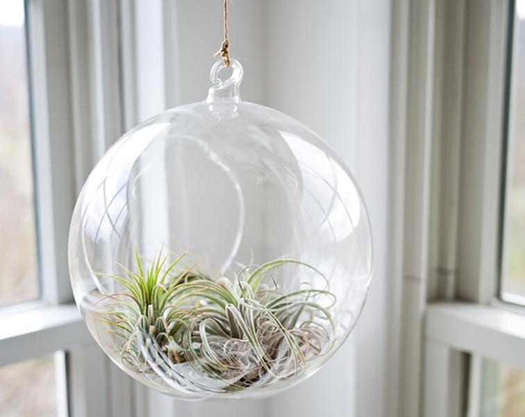 com/biophilic-design-connecting-nature-improve-health-well https://en.wikipedia.org/wiki/biophilic_design https://en.wikipedia.org/wiki/biophilia_hypothesis https://medium.