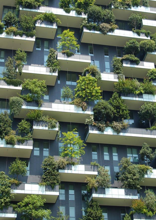 KUNTOUTUSYMPÄRISTÖN SUUNNITTELUN LÄHTÖKOHTIA BIOFILINEN SUUNNITTELU Biofilia on ympäristöpsykologian käsite ja tarkoittaa ihmisen sisäsyntyistä tarvetta olla kontaktissa luonnon ja muiden