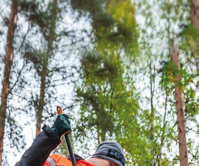 Mitä tarkoittaa erityinen tuki? Opiskelun perustana on HOKS E rityisellä tuella tarkoitetaan ohjauksellista tukea sekä erityisiä opetus- ja ohjausjärjestelyjä.