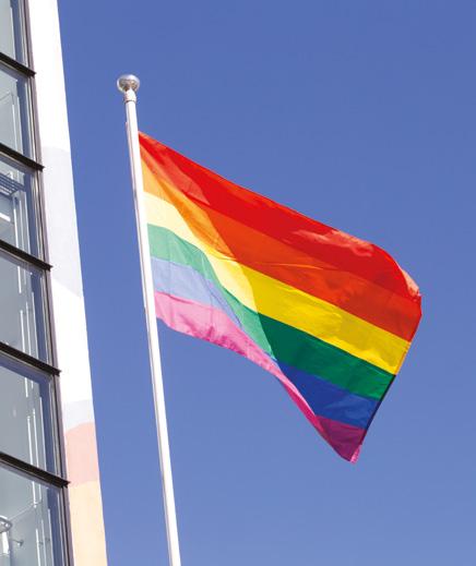 Usean muun Suomen ammattikorkeakoulun tapaan myös Laureassa liputetaan Priden kunniaksi.