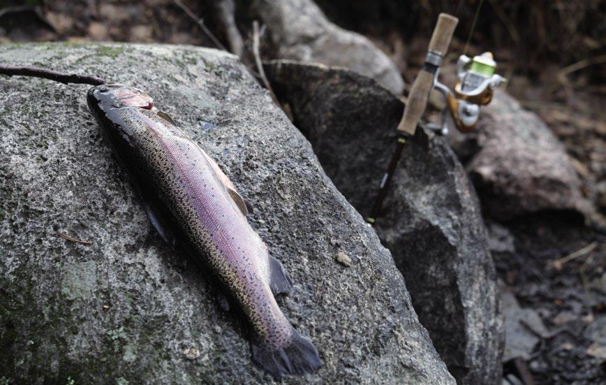 Kuva: Aku Ahlholm ERÄLUVAT.FI KALASTUSLUVAT Ennen kalastusta maksetaan kalastonhoitomaksu. Sillä voi jo kalastaa yhdellä vavalla suuressa osassa maata järvillä, lammilla tai merialueilla.