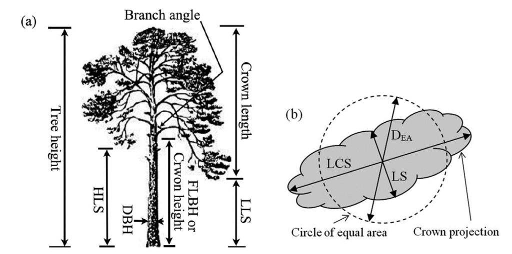 22 Figure 14: (a) Vertical structural dimensions and (b) the maximum and the minimum radius of the tree crown utilised for tree species identification.