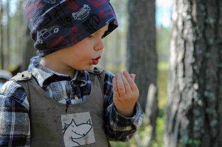 VUOSIKERTOMUS 2019 Suomen luonto- ja ympäristökoulujen liitto ry TIIVIS TIIVISTELMÄ Suomen luonto- ja ympäristökoulujen liitto toimii lasten ja nuorten luonto- ja ympäristökasvatuksen edistämiseksi.