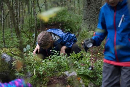 Liitto koordinoi ja kehittää LYKE-verkostoa sekä ylläpitää ja kehittää valtakunnallisia toimintamalleja lasten ja nuorten ympäristökasvatuksen tukemiseen.