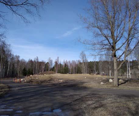 Suunnittelualueelta ei tunneta luonnonsuojelulain mukaisia suojeltavia luontotyyppejä tai muita sellaisia merkittäviä luontoarvoja, joilla olisi erityistä vaikutusta asemakaavan muutokseen.