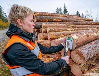 ääressä istumista kuin metsäarviointien tekemistä ja kauppojen solmimista. Myös metsäänsä myyvät asiakkaat saavat tunnustusta.