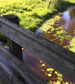 Pistetähänkö reitit kuntohon? Kiitos!