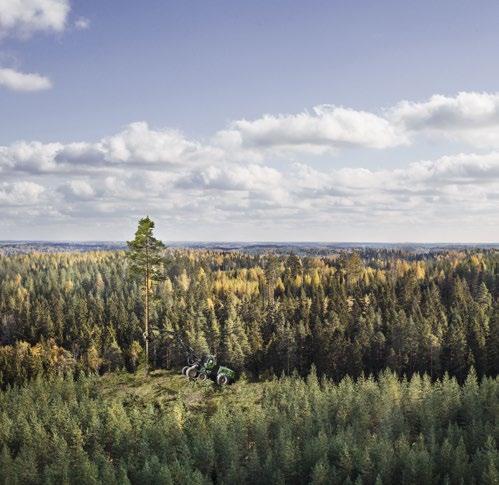 70 // GREENREALITY NETWORK // METSÄ FIBRE // 71 MAAILMAN SUURIMMAN YKSILINJAISEN HAVUSELLUTEHTAAN SÄHKÖ- OMAVARAISUUS ON 175 PROSENTTIA.