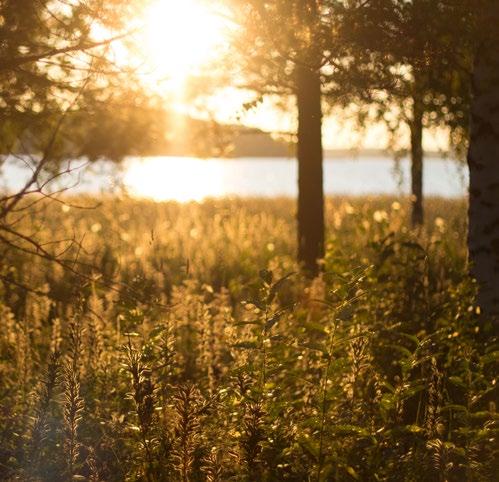 78 // GREENREALITY NETWORK // PARIKKALAN VALO // 79 PARIKKALAN VALO OY HUOMIOI KAIKESSA TOIMINNASSAAN YMPÄRISTÖVAIKUTUKSET JA PYRKII TOIMENPITEILLÄÄN VÄHENTÄMÄÄN YMPÄRISTÖKUORMAA.