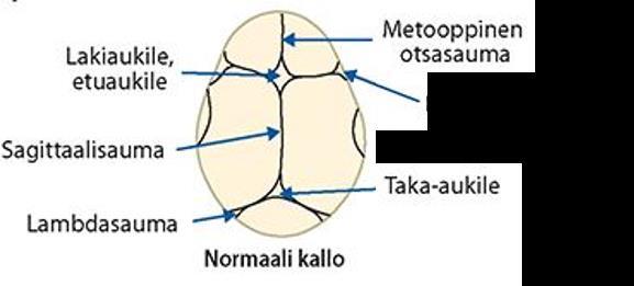 7 Opinnäytetyön tarve lähti työelämästä ja sen toimeksiantajana toimi Itä- Suomen Sairaanhoitopiiri eli Sosteri. Itä-Savon sairaanhoitopiiri on aloittanut toimintansa 1.1.2007.