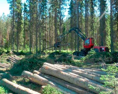 VEDENSAANTI KUNTOON Hyvätuottoinen lehmä juo helteellä jopa 200 litraa päivässä, joten veden tulisi olla mahdollisimman helposti saavutettavissa: matka juomapisteelle saisi olla mieluiten alle 250 m.