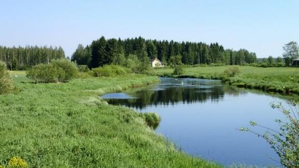 matalarantainen joki selvitysalueen eteläosassa.