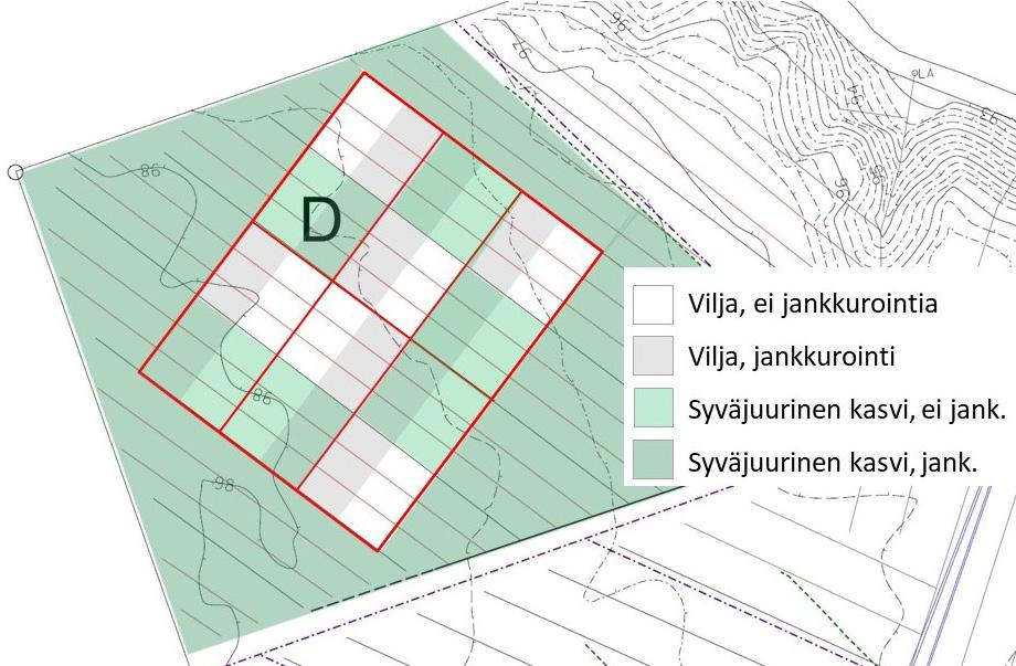 verrata alueisiin A C. Koko Nummelan pelto (alueet A D ruutukokeineen) lannoitettiin perustamisvuonna 219 samalla tavalla: NPK 99 19 8 kg ha -1.