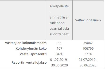 1,0 1,0 Päättökysely: keskiarvo Salpaus 4,1