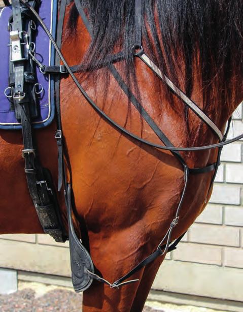 Hyppyremmi kulkee hevosen vatsan alitse läheltä nivusia ja kiinnitetään kärryn aisoihin. Potku- tai hyppyremmin on oltava soljella kiinnitetty.