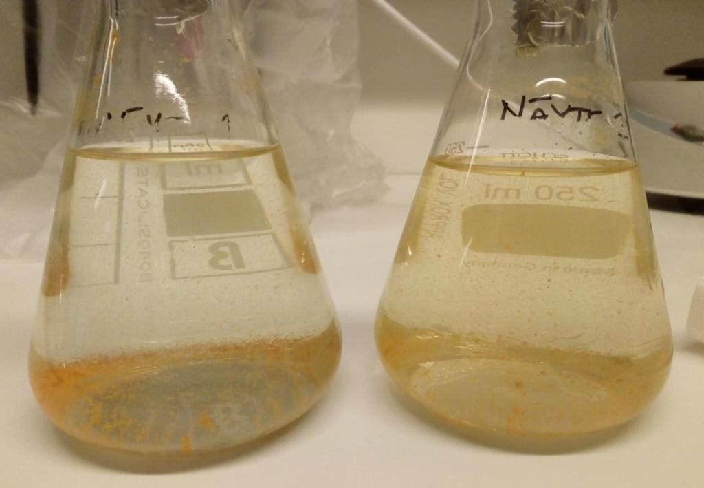 40 Figure 19. Dried and diluted samples. Solid pieces are clear for naked eye.