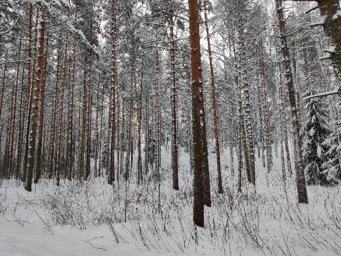 Tunneleiden suuaukkojen ympäristö ja työmaa-alue niiden läheisyydessä maisemoidaan rakentamisen jälkeen.