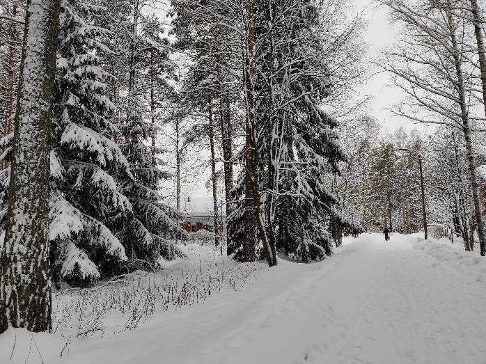 Kaavamuutoksen hakijana on Vantaan Energia ja kaavoituksen yhteydessä laaditaan kolmiulotteinen tonttijako.